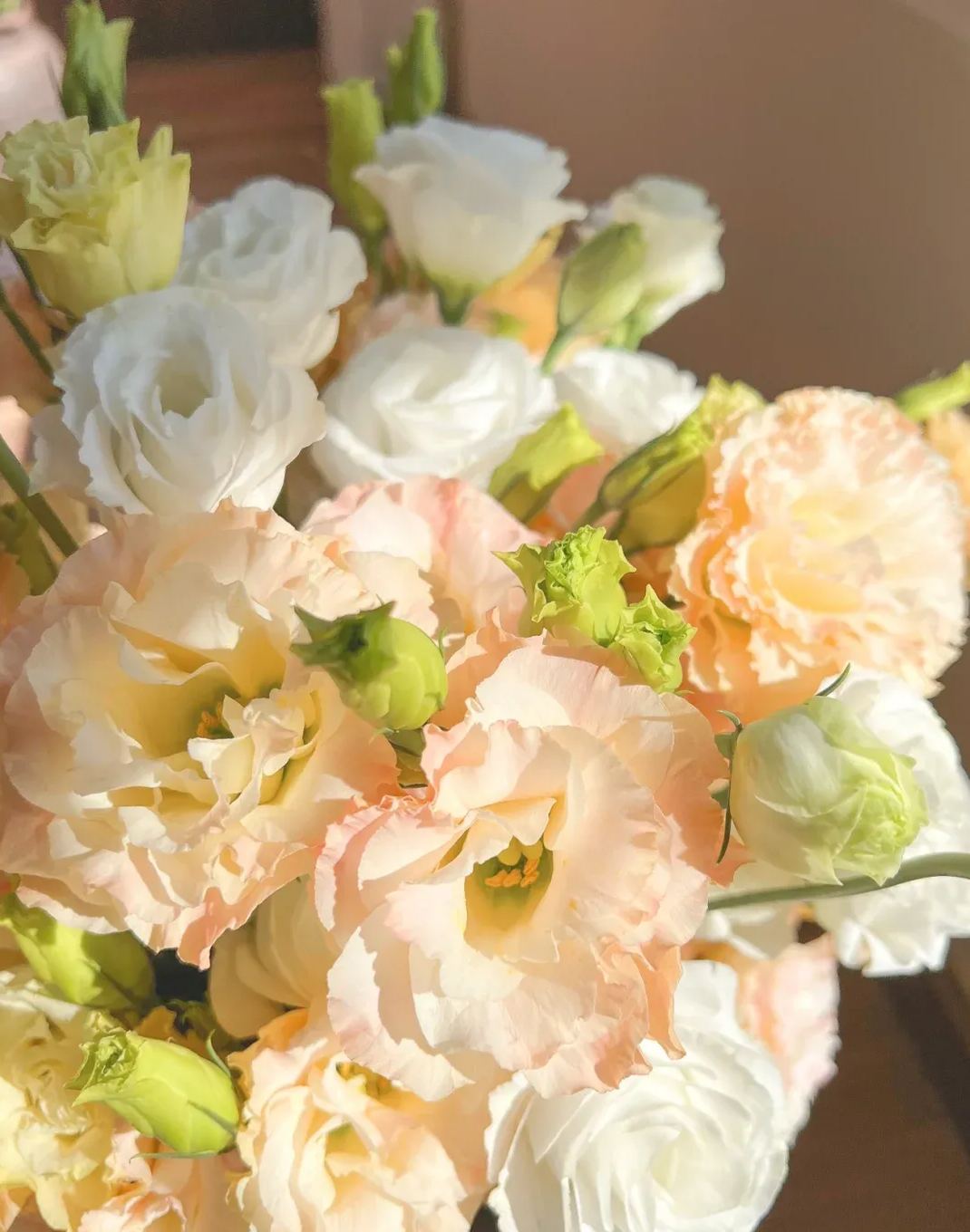💐Lisianthus – Nadčasová krása, věčná láska💫
