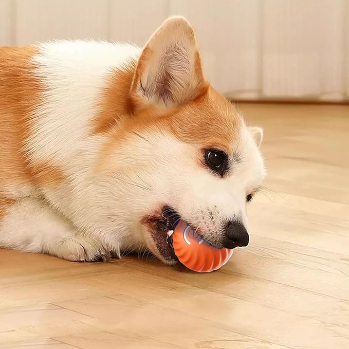 🎁Chytrý interaktivní skákací míč pro domácí mazlíčky🐶