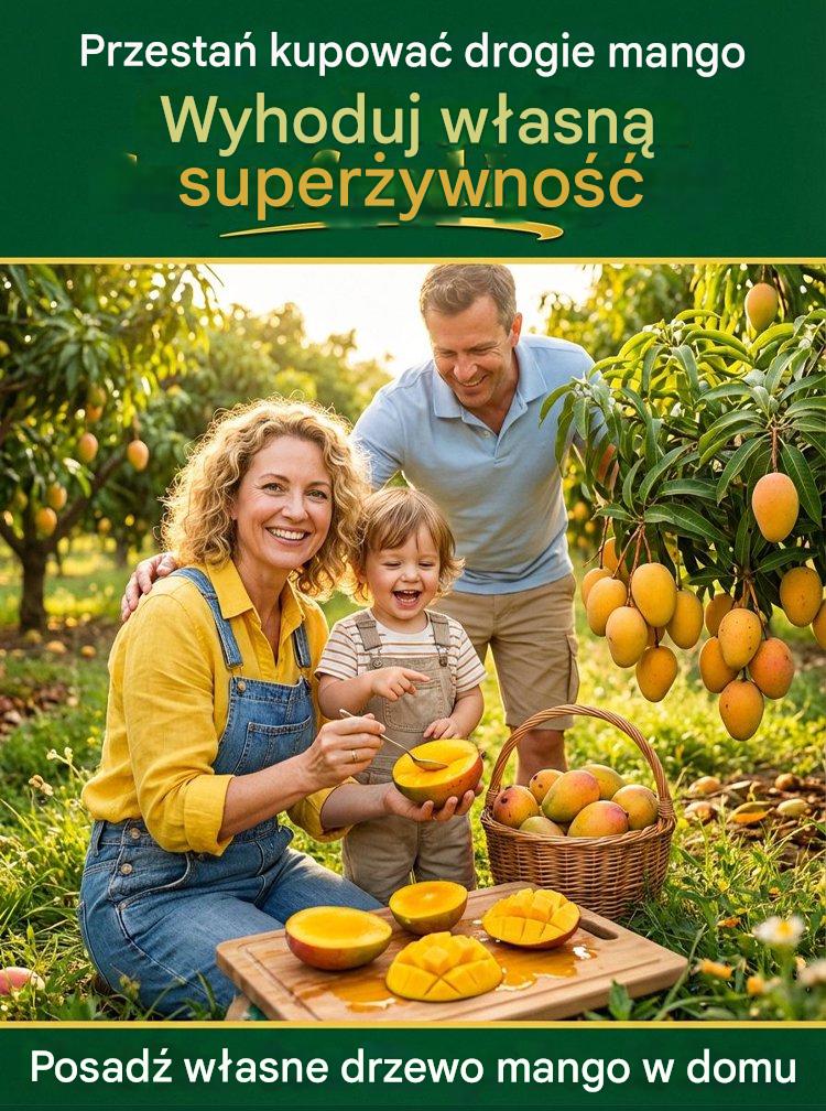 [Výsledky za 1–2 roky] Zakrslé roubované sazenice manga bez GMO