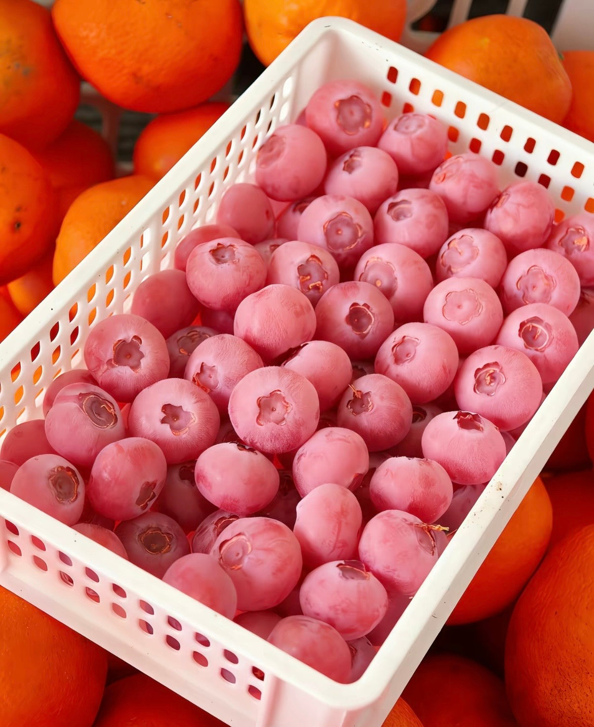 Semínka borůvek Pink Bliss – Dvojitá sladkost