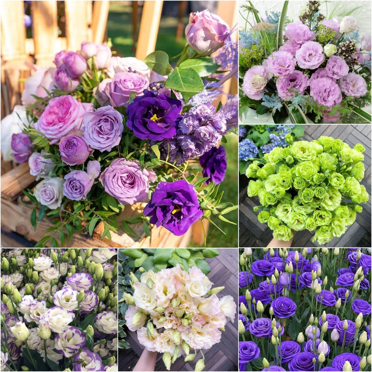 💐Lisianthus – Nadčasová krása, věčná láska💫