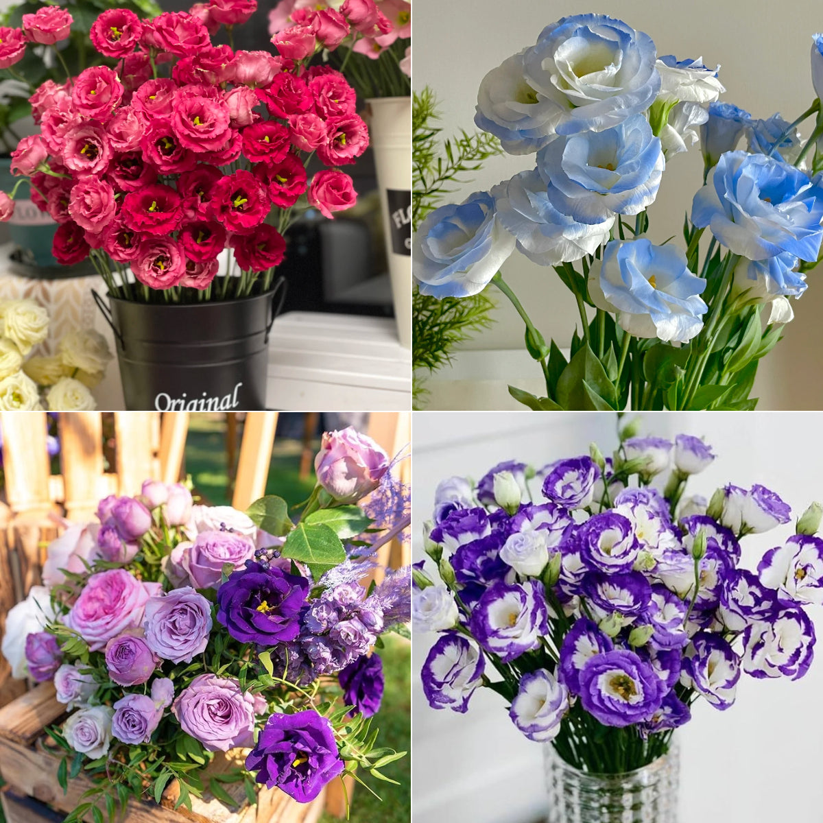 💐Lisianthus – Nadčasová krása, věčná láska💫