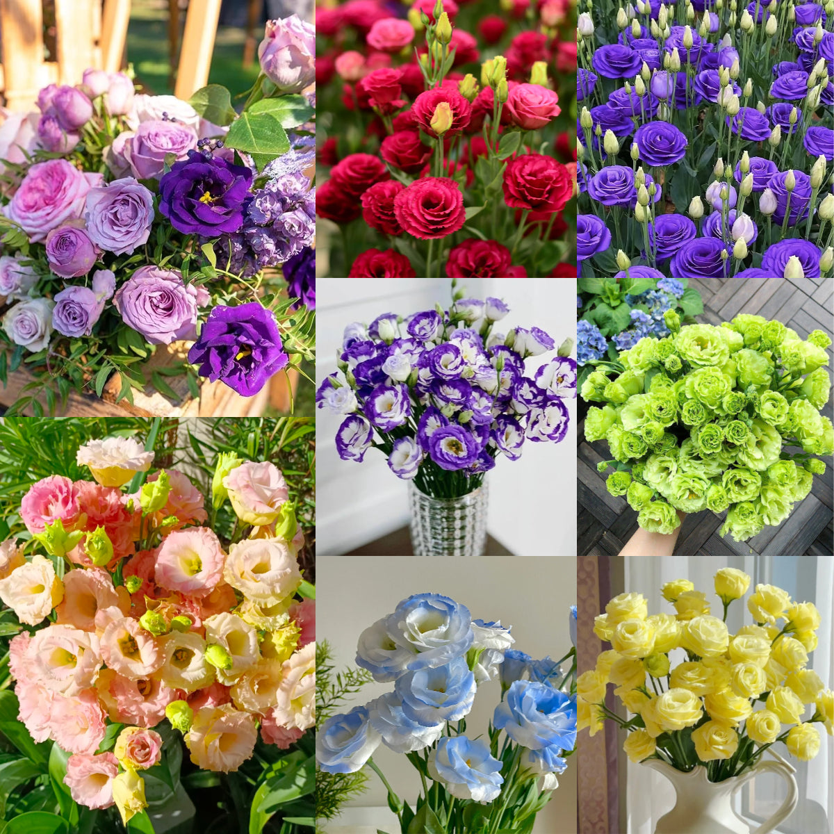 💐Lisianthus – Nadčasová krása, věčná láska💫