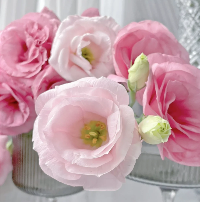 💐Lisianthus – Nadčasová krása, věčná láska💫