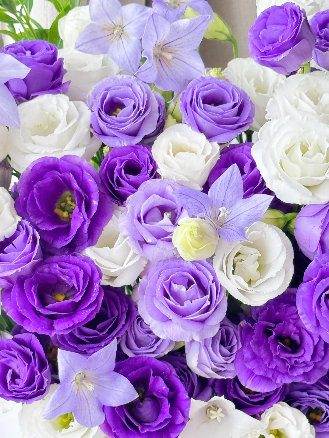 💐Lisianthus – Nadčasová krása, věčná láska💫