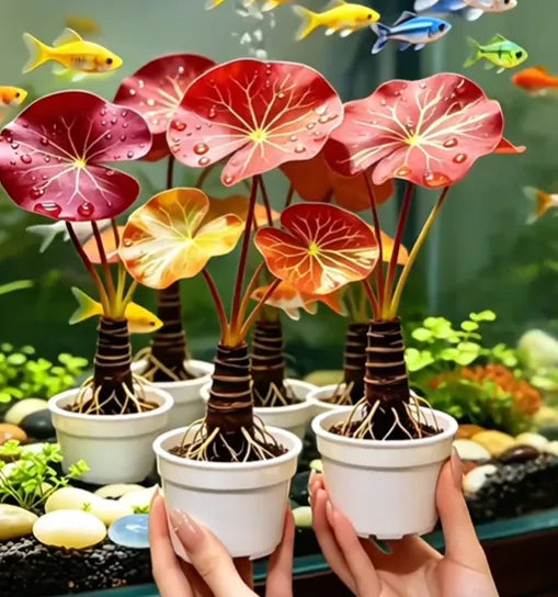 🐟Hydroponické kořeny červeného lotosu🌿 Proměňte své akvárium v živou zahradu