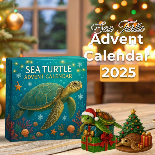 🌊🐢 Adventní kalendář s mořskými želvami 2025