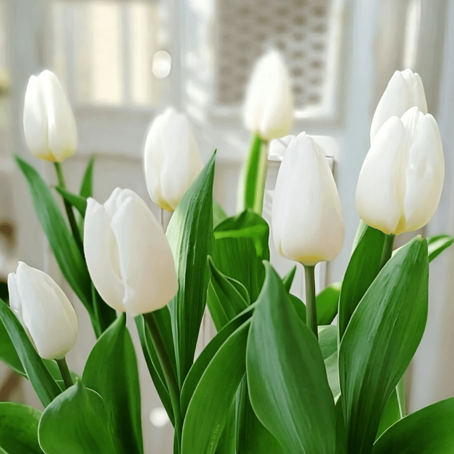 🌷Vzácná semínka tulipánů – Barevné jarní květy do květináčů, záhonů a zahrad
