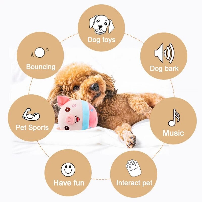 🐶Aktivně pohybujte plyšovými hračkami zvířátek