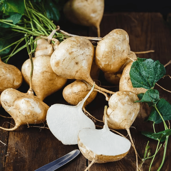 Exkluzivní nabídka💥Bohaté, šťavnaté a výživné křupavé ovoce - sladká jikama k pěstování doma🍠
