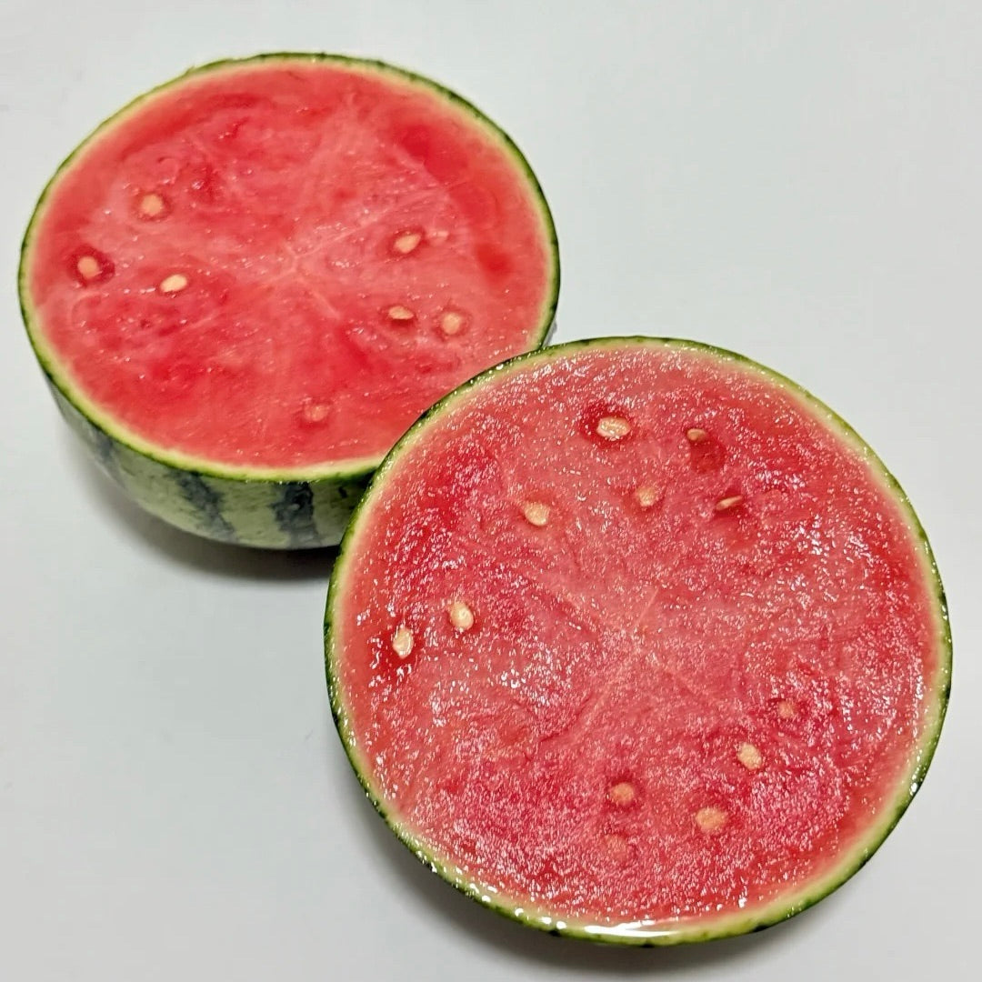 Tenkoplátná semínka melounu 🍉