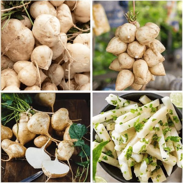 Exkluzivní nabídka💥Bohaté, šťavnaté a výživné křupavé ovoce - sladká jikama k pěstování doma🍠