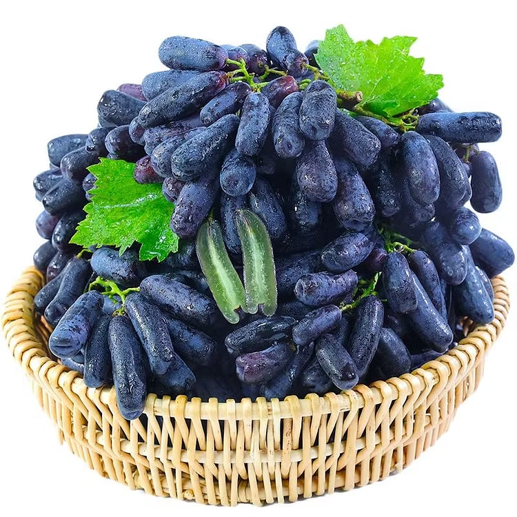 🔥 POSLEDNÍ DEN AKCE SLEVA 30 % 💜 Sladké safírové hrozny (vzácné hrozny) 🍇