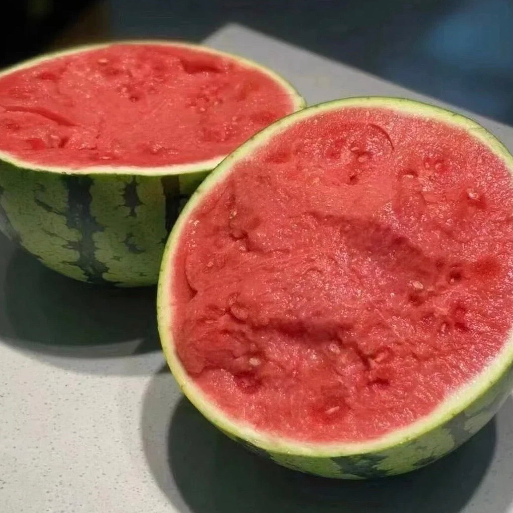 Tenkoplátná semínka melounu 🍉