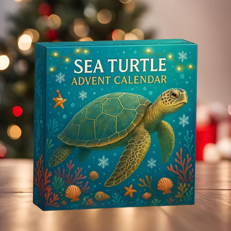 🌊🐢 Adventní kalendář s mořskými želvami 2025