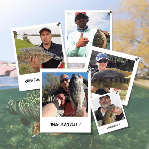🌊Ovládněte vodu: Ozark Trail 5palcová vícedílná swimbait na bílého okouna🐟