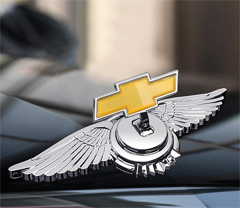 Logo kapoty s úpravou auta