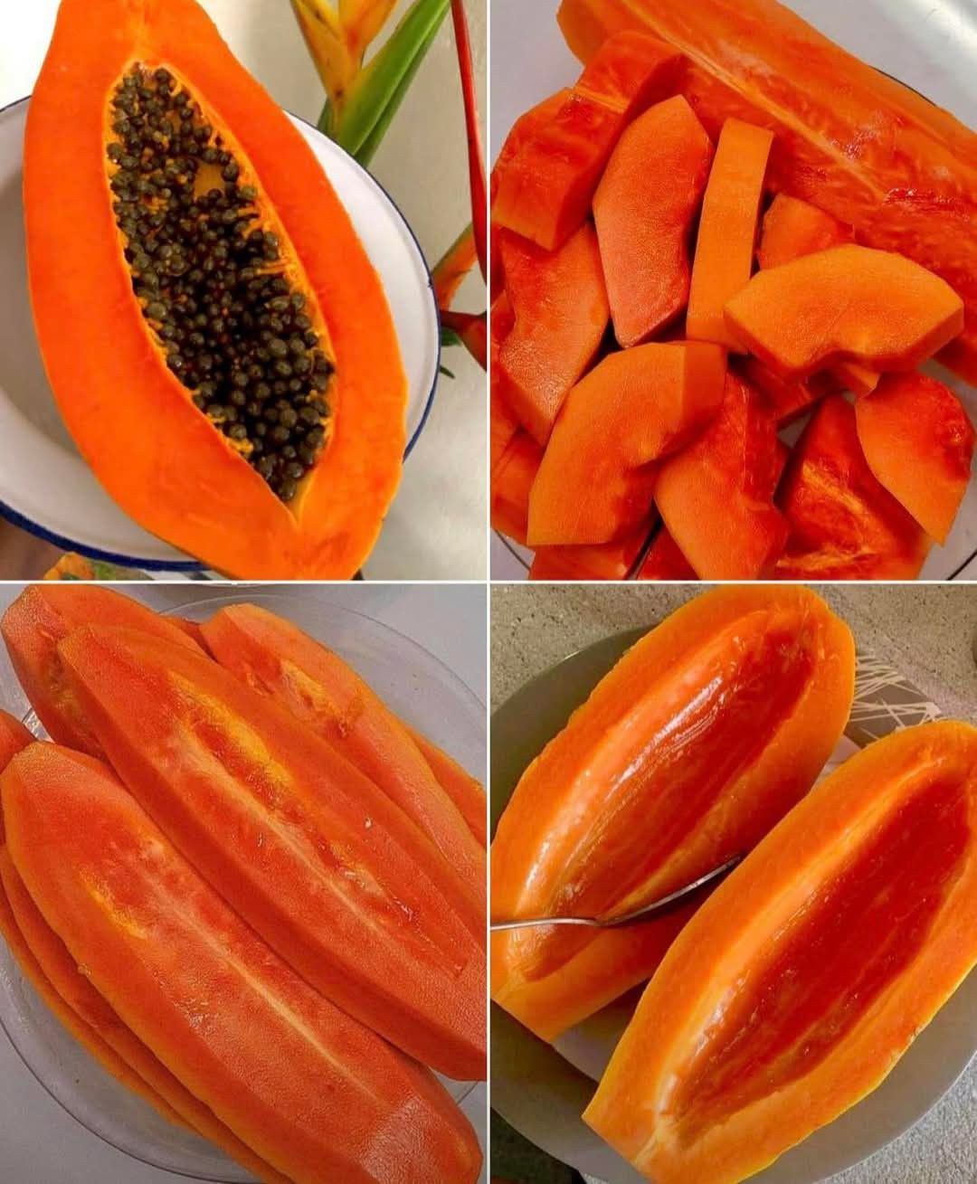 🥭 Vzácná papája z dračích drápů – vyživuje vaše tělo, podporuje každodenní pohodu
