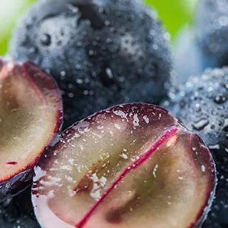 Jabuticaba hroznová semínka