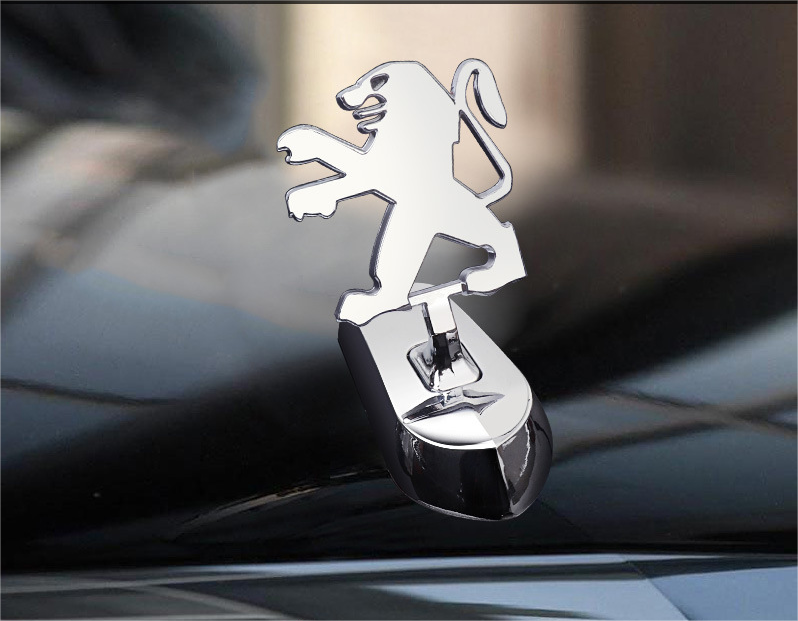 Logo kapoty s úpravou auta