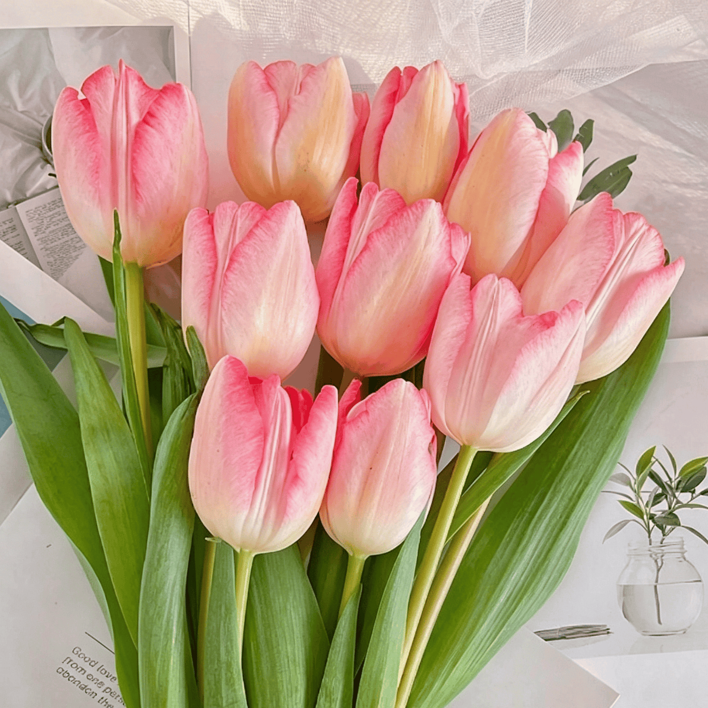 🌷Vzácná semínka tulipánů – Barevné jarní květy do květináčů, záhonů a zahrad