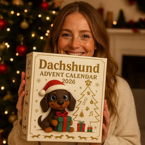 🎄🐾 Adventní kalendář pro jezevčíky na rok 2026 🐶✨