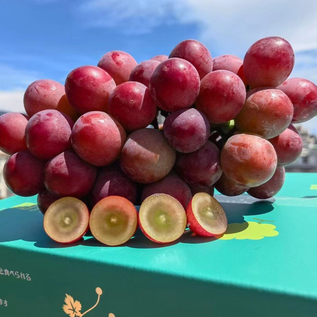 Limitovaná nová odrůda – hroznová semínka Queen Nina pro sladké a šťavnaté zahradní sklizně 🍇