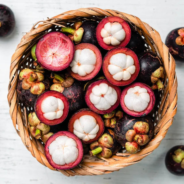 Mangostan