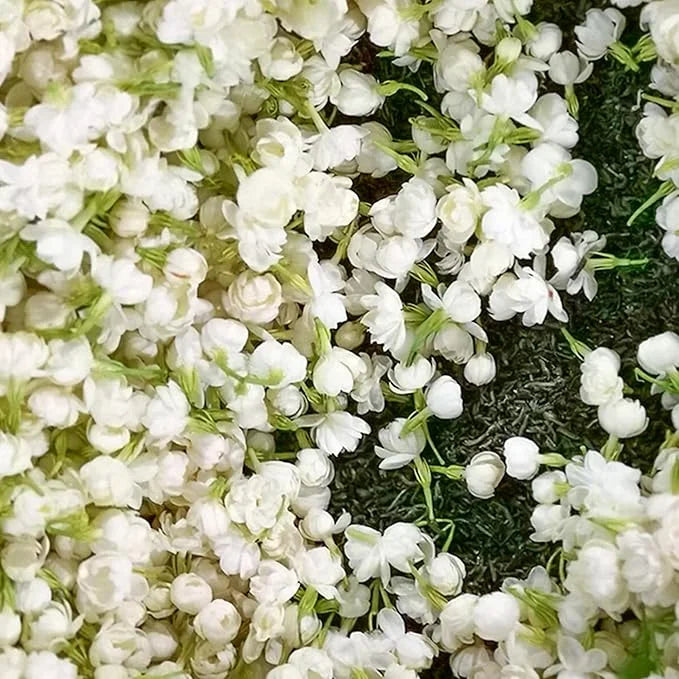 POSLEDNÍ DENNÍ AKCE SLEVA 35 % 🌸 Květináč s jasmínem (🌱Zaručeno přežití: Náhrada zdarma🌿)
