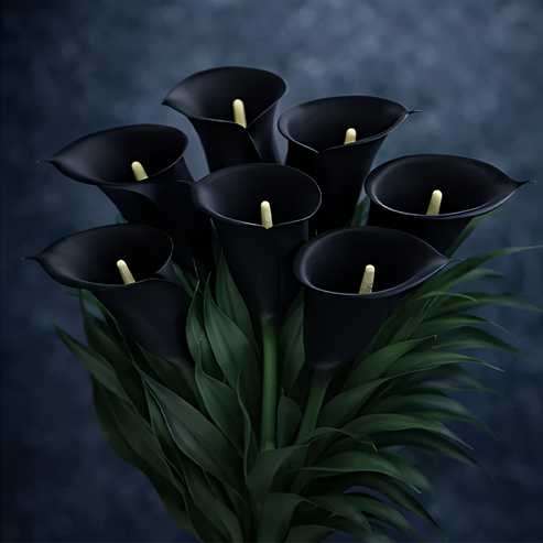 🌷Tajemná polární kala