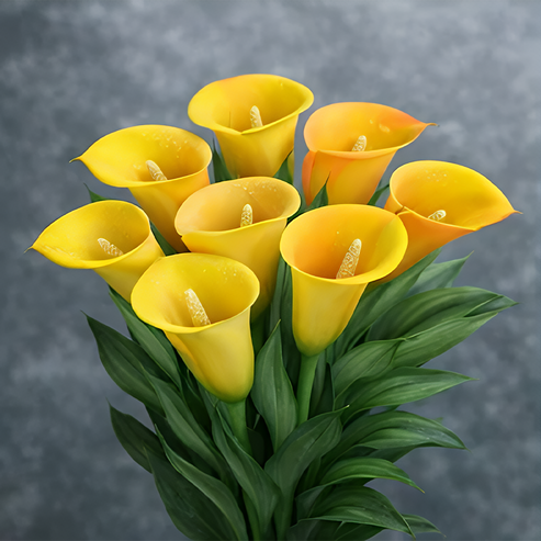 🌷Tajemná polární kala