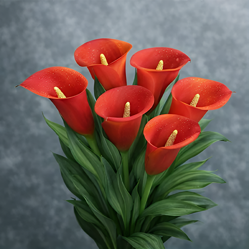 🌷Tajemná polární kala