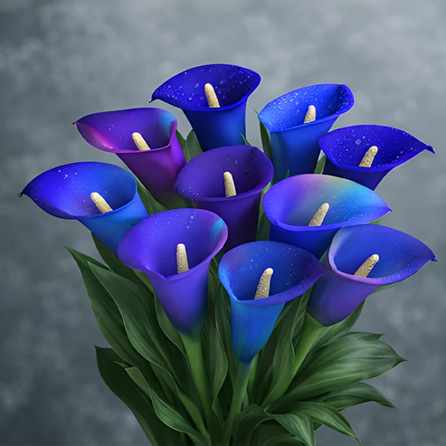 🌷Tajemná polární kala