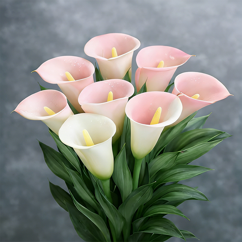 🌷Tajemná polární kala