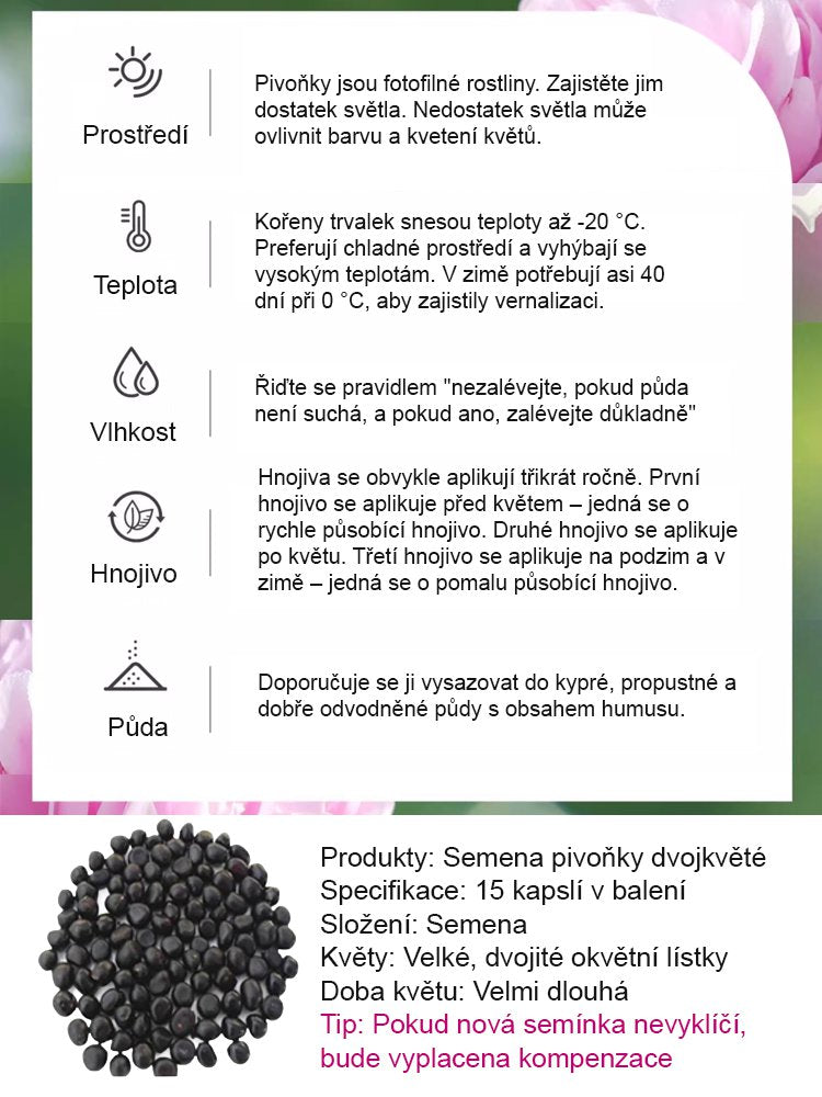 [Vybraná semínka pivoňky] Jedno semínko, moře květin, kvete nepřetržitě 180 dní!