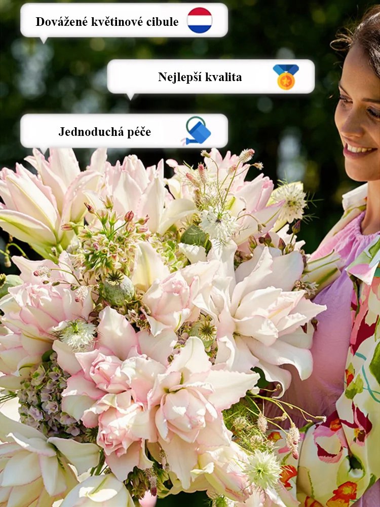 Cibule přesličky Four Seasons