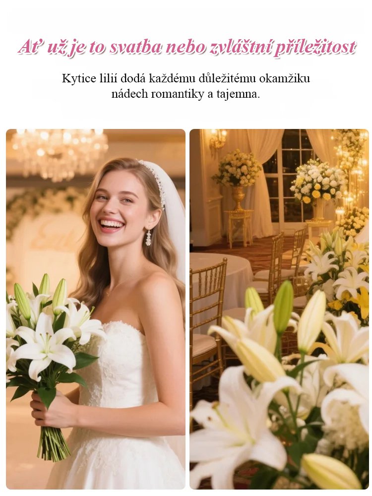 Cibule přesličky Four Seasons