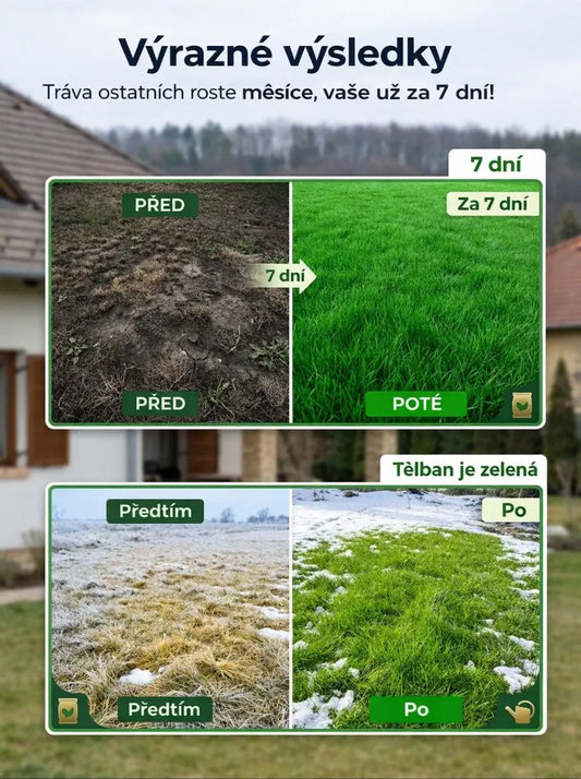 【Klíčivost 99%】Semena odolného trávníku čtyřsezónní zeleně