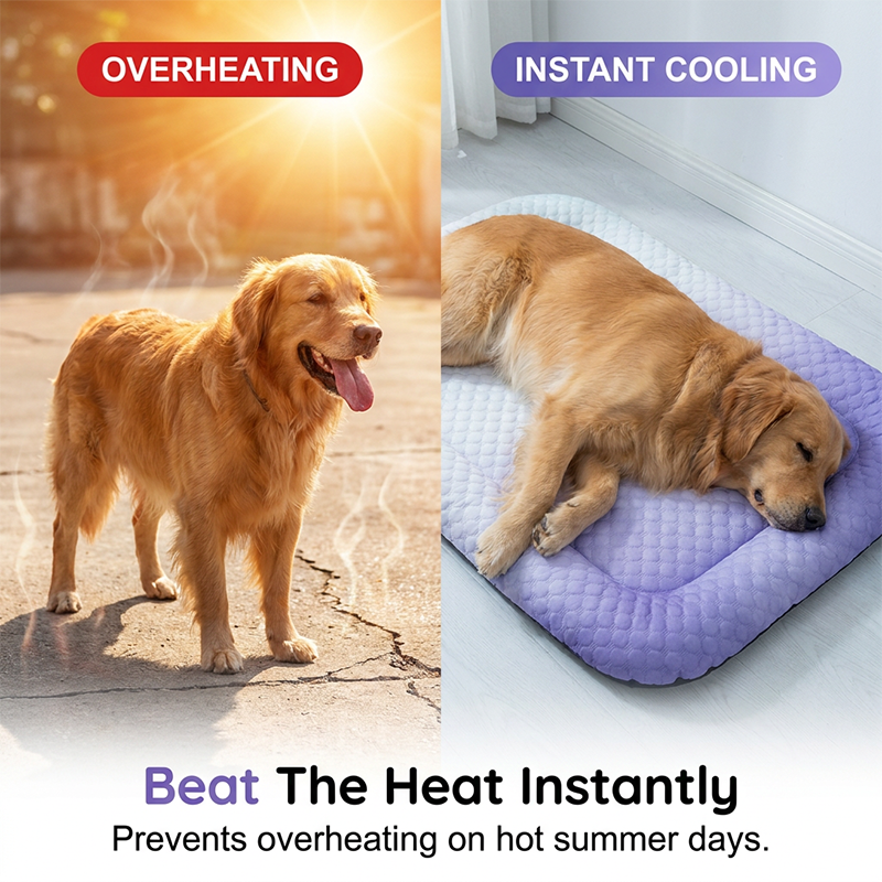 🐶🐱❄️ Chladicí podložka pro domácí mazlíčky, prodyšná a netoxická pro psy a kočky