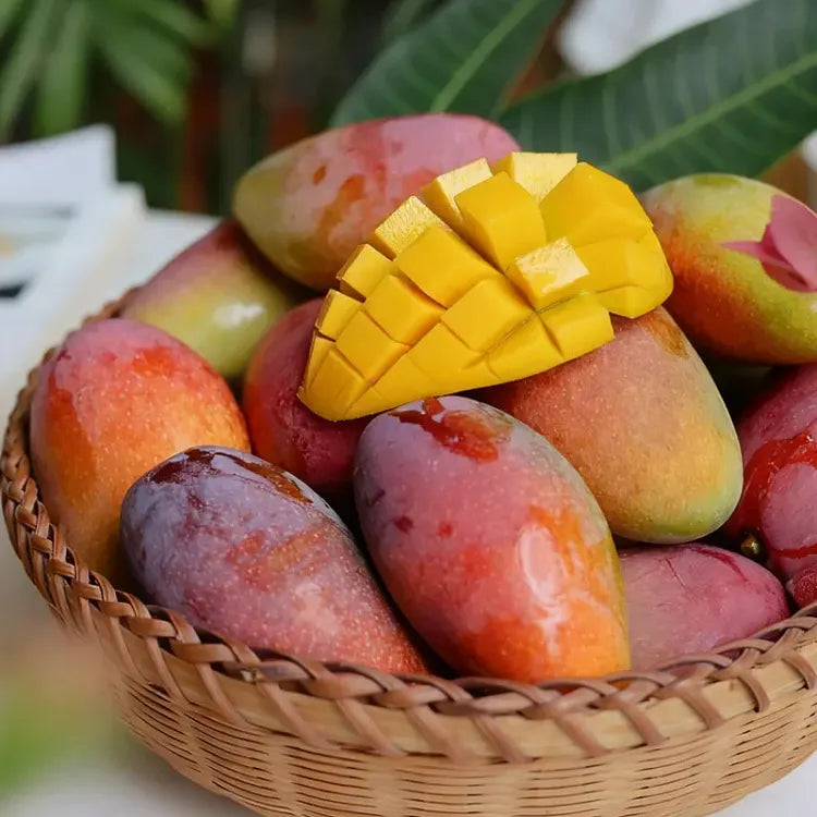 🥭 Sametové, sladké a šťavnaté sazeničky manga – zažijte chuť tropů u sebe doma 🌴