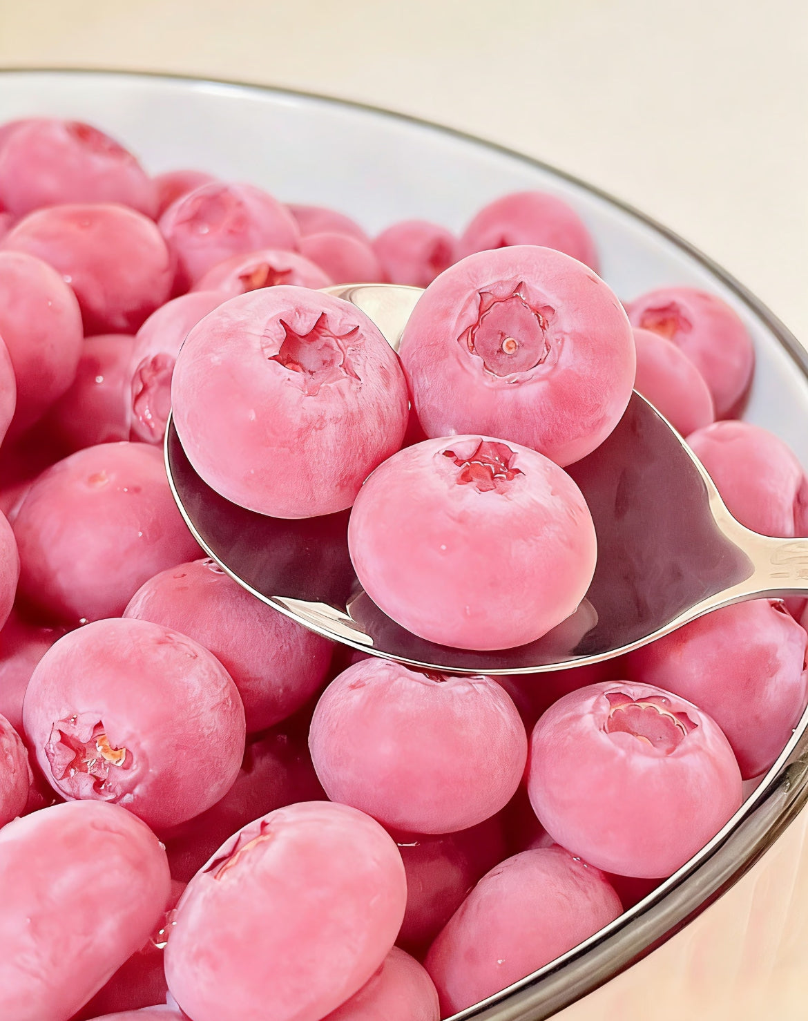 Semínka borůvek Pink Bliss – Dvojitá sladkost