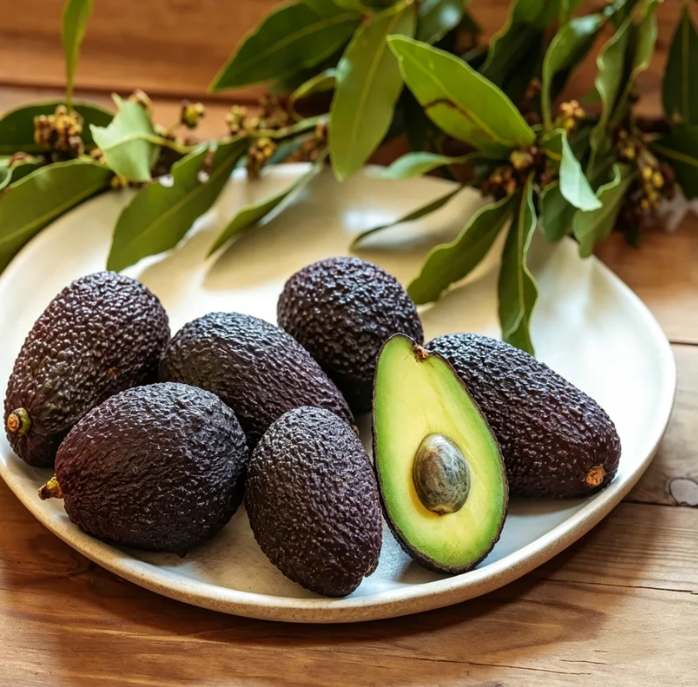 🍃 Série Heirloom Manor: Sada 13 vybraných ovocných semínek (bez GMO) 🌳 – Nejprodávanější produkt