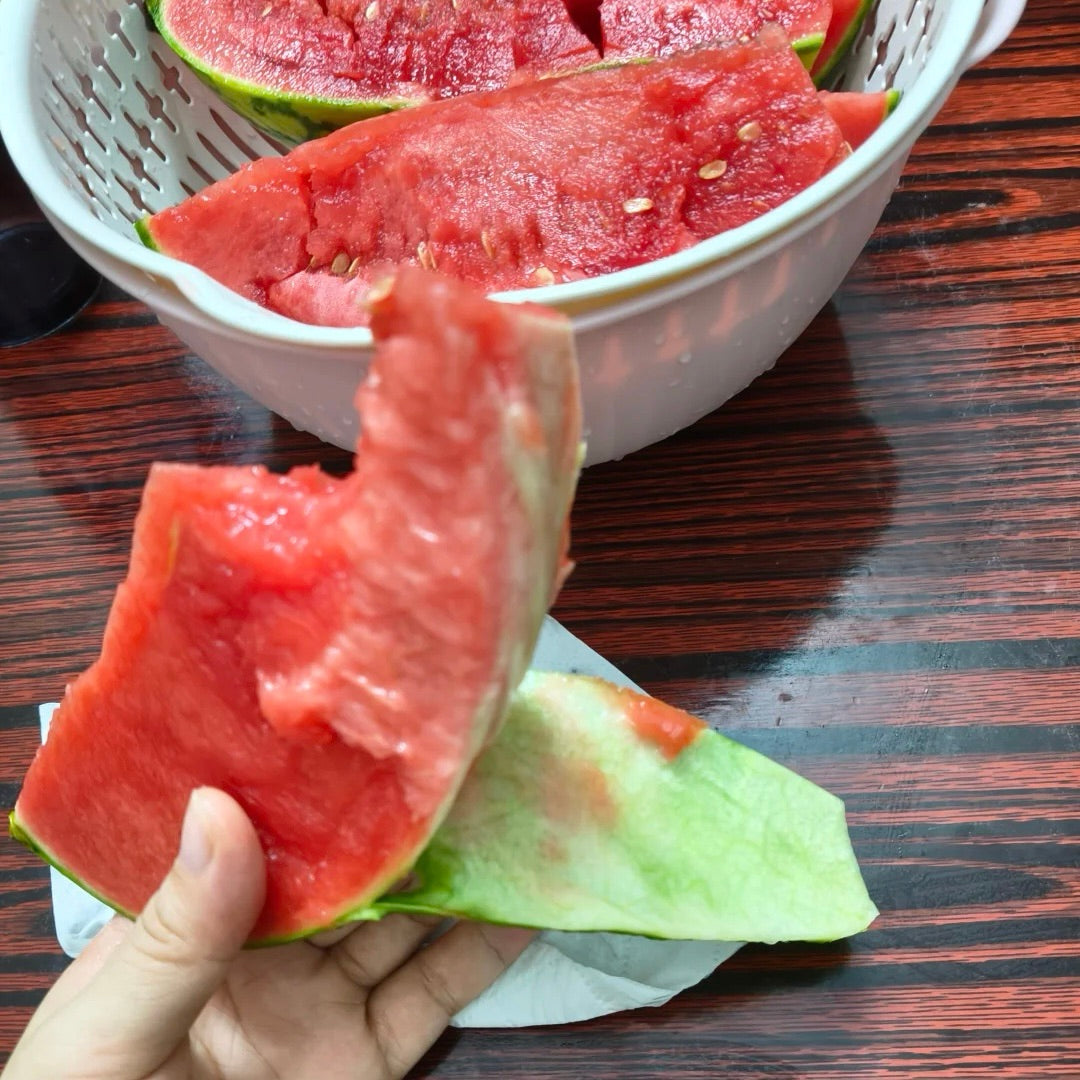 Tenkoplátná semínka melounu 🍉