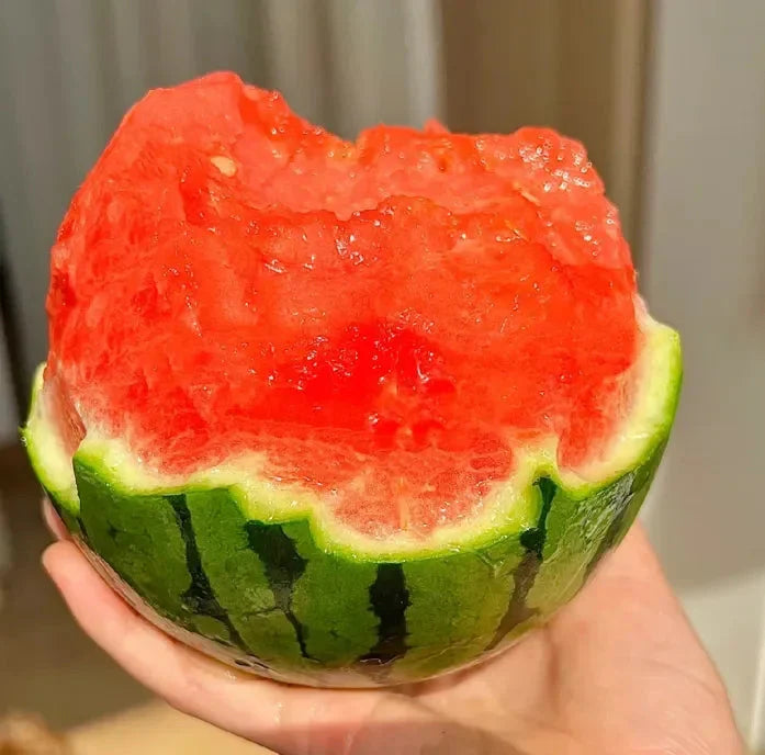 🍉Jarní červený nefrit – sladký meloun, který potěší celou rodinu
