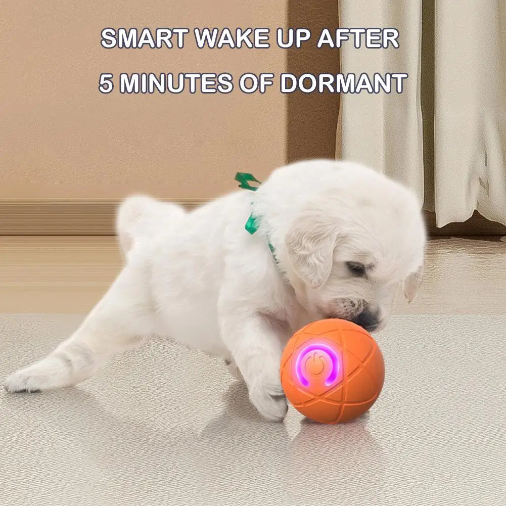 🎁Chytrý interaktivní skákací míč pro domácí mazlíčky🐶