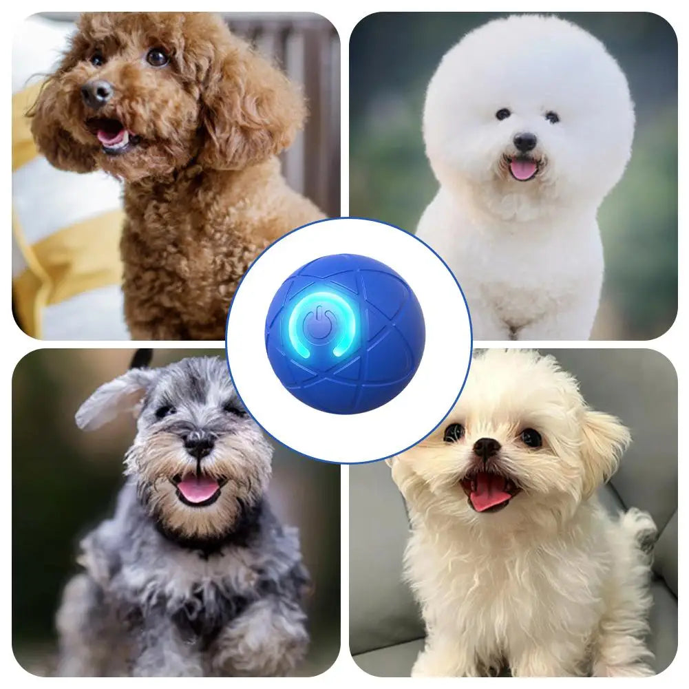 🎁Chytrý interaktivní skákací míč pro domácí mazlíčky🐶