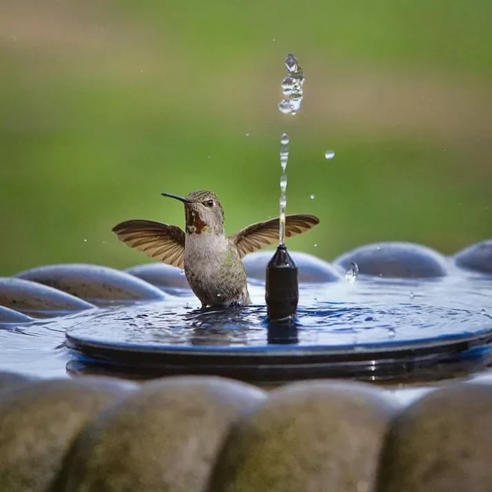 🔥Solární ptačí fontány🐦️