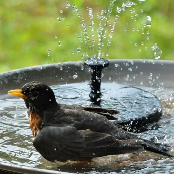 🔥Solární ptačí fontány🐦️
