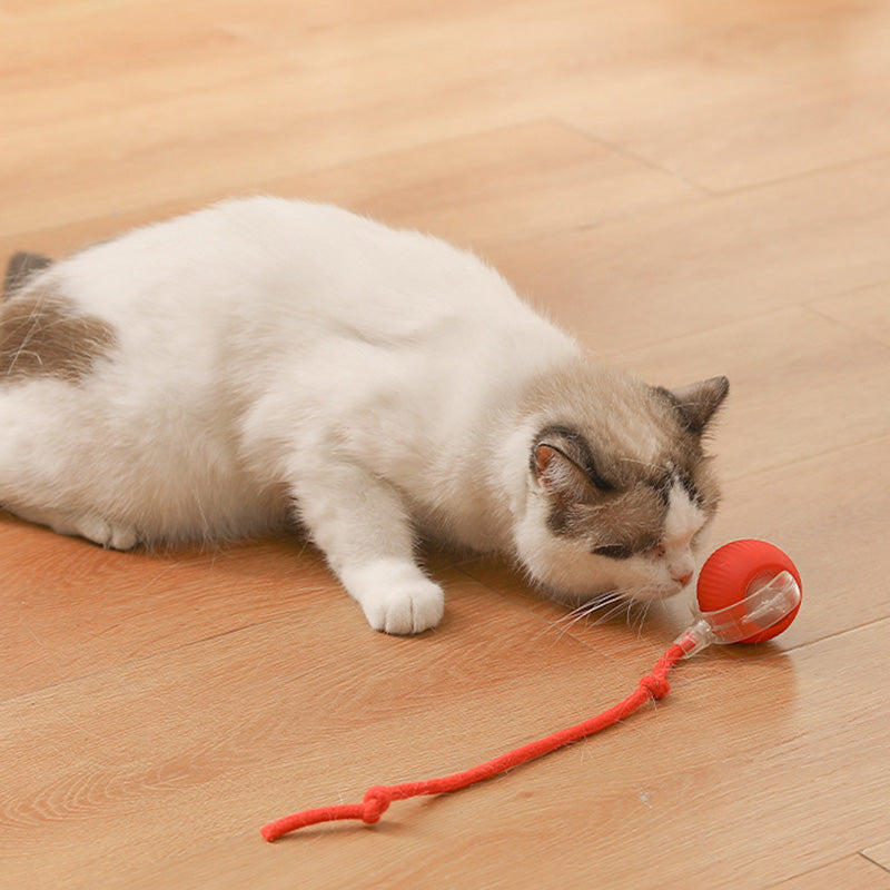 🐱 Udržování aktivity vašeho domácího mazlíčka 🐶 Inteligentní automatický kutálející se míč pro domácí mazlíčky