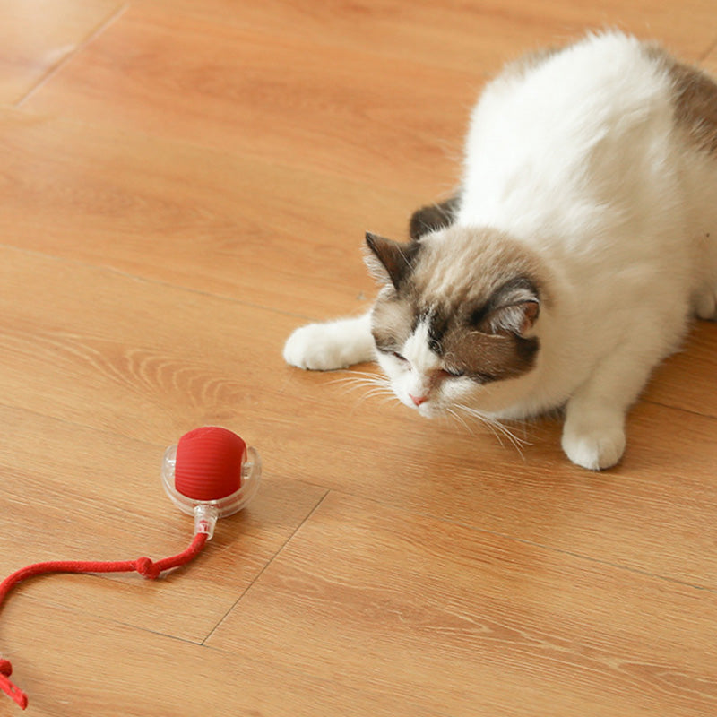 🐱 Udržování aktivity vašeho domácího mazlíčka 🐶 Inteligentní automatický kutálející se míč pro domácí mazlíčky